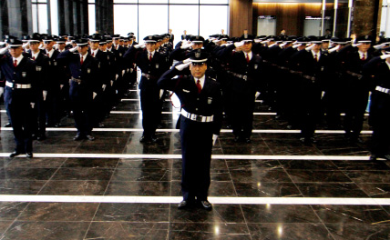 ����������ĥ꡼������ȯ�⼰