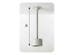 ŷ���߲����ݡ���