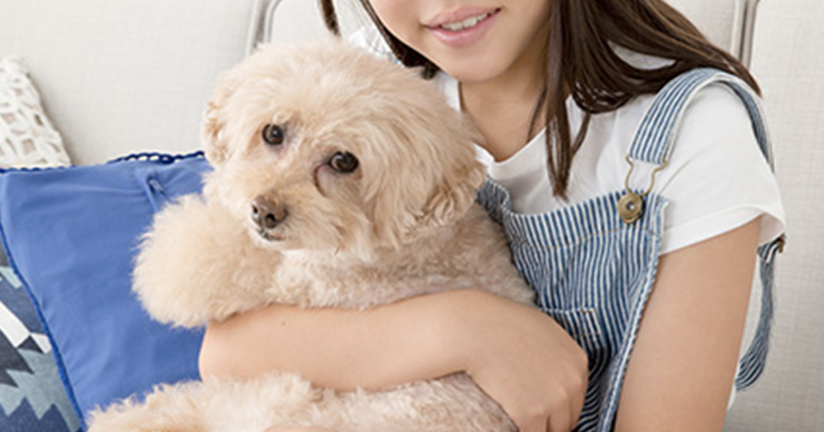 小学生のお留守番は何歳から？事件や事故に巻き込まれないための対策