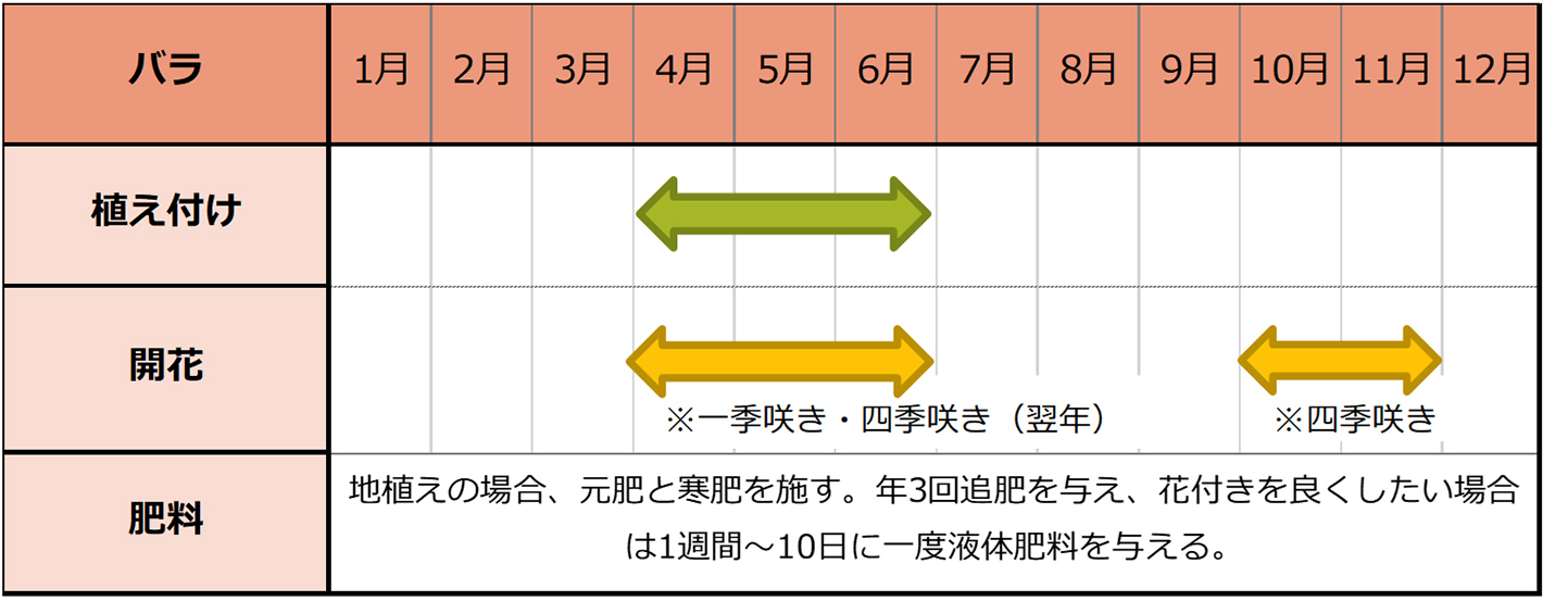 バラ（苗植え）のカレンダー