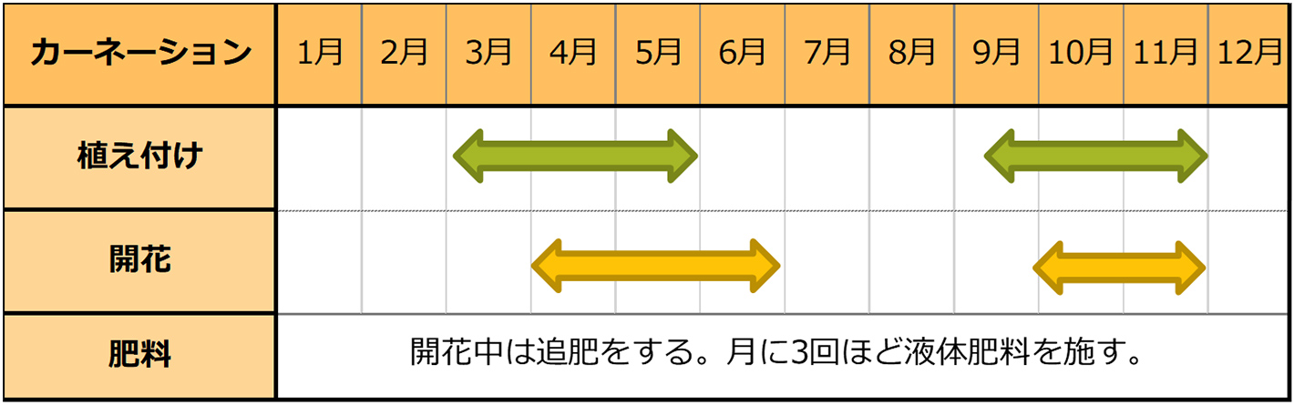 カーネーション（苗植え）のカレンダー