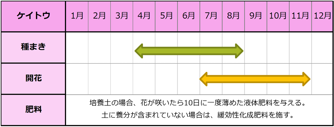 ケイトウ（種まき）のカレンダー