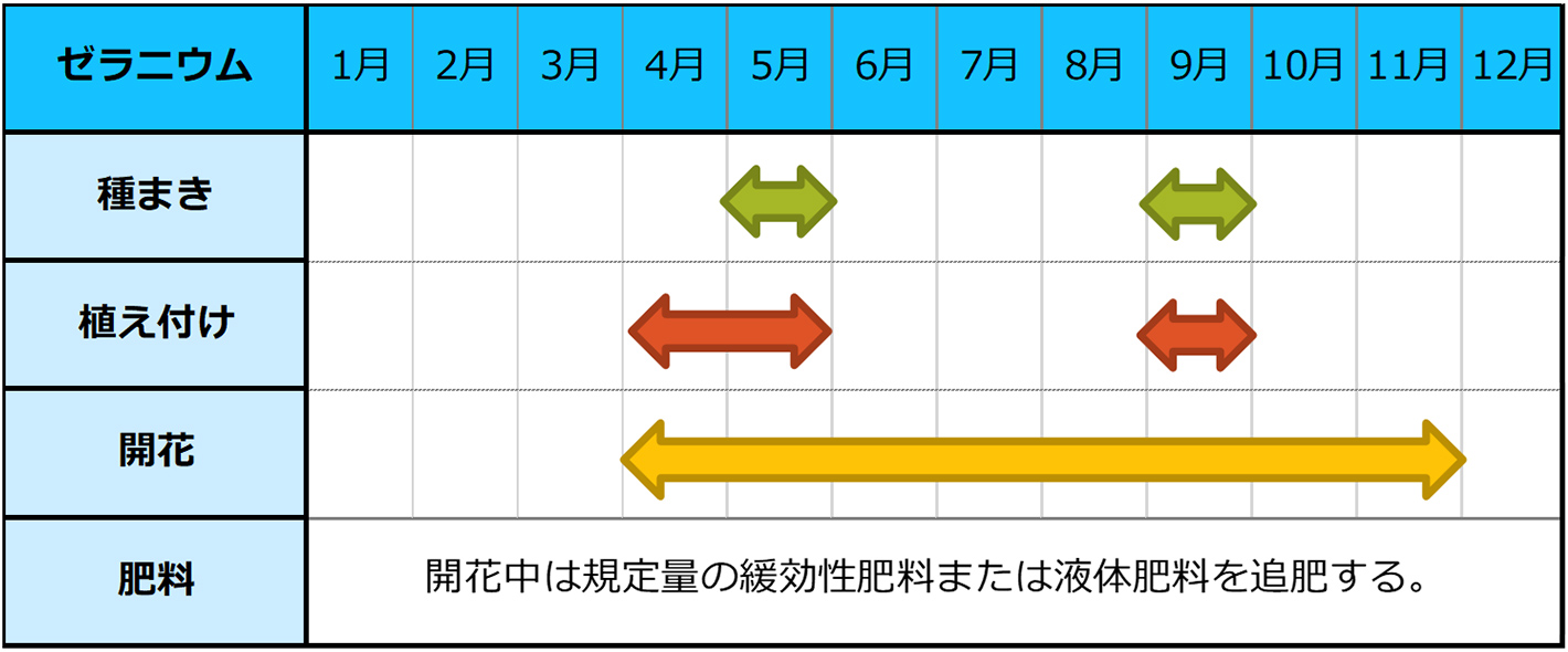 ゼラニウムのカレンダー
