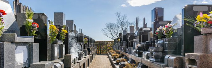 墓地