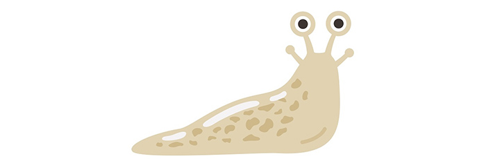 ナメクジのイラスト