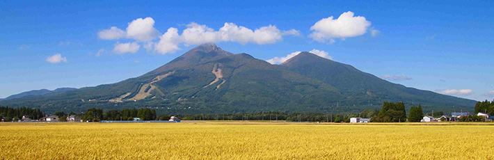 福島県治安ランキング2025 市区町村別の治安が良い地域と悪い地域は？
