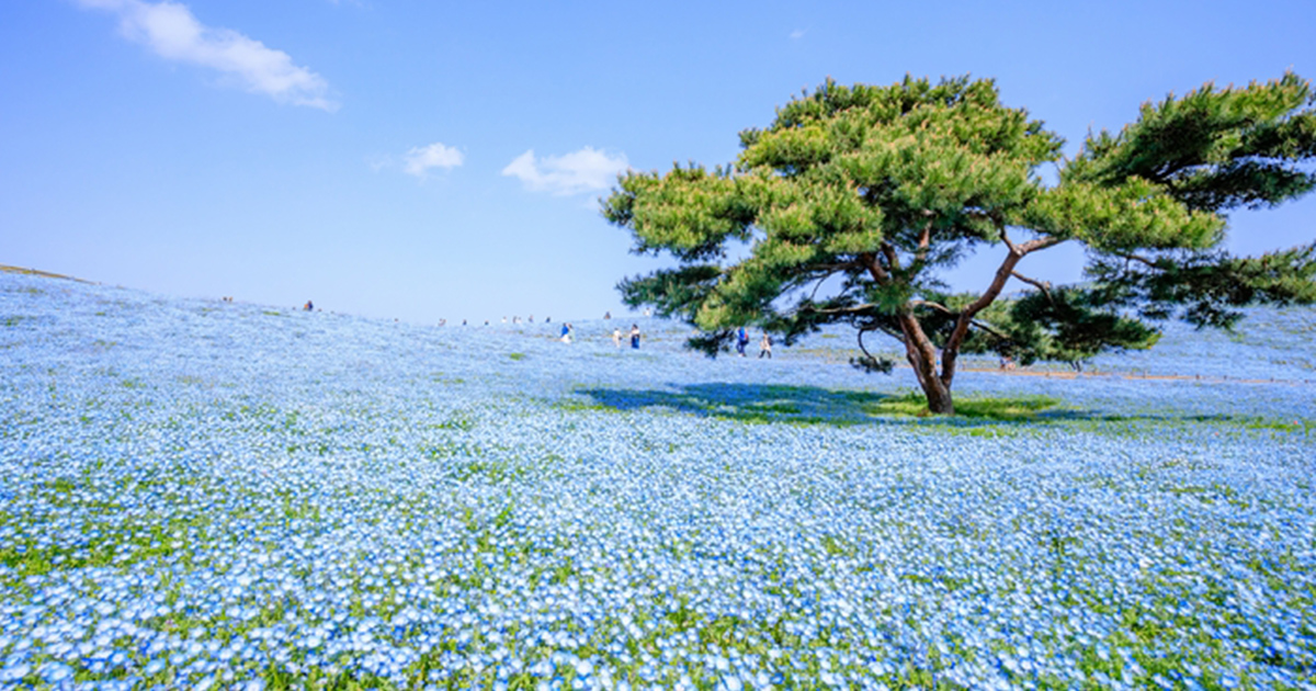 茨城県治安ランキング2025 市区町村別の治安が良い地域と悪い地域は？