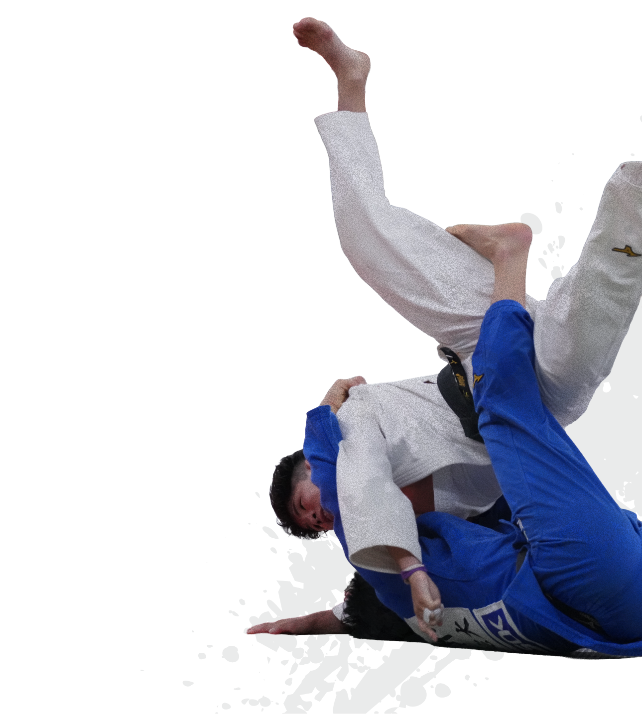 柔道選手